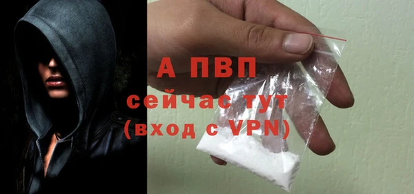 круглые Белокуриха