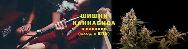 круглые Белокуриха