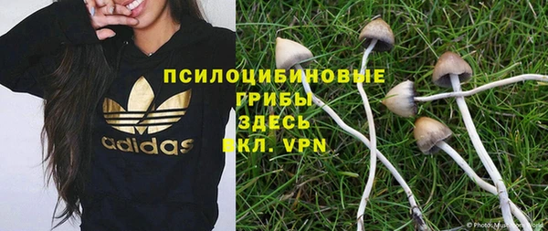 амф Тавда