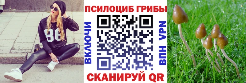 Псилоцибиновые грибы GOLDEN TEACHER Гай