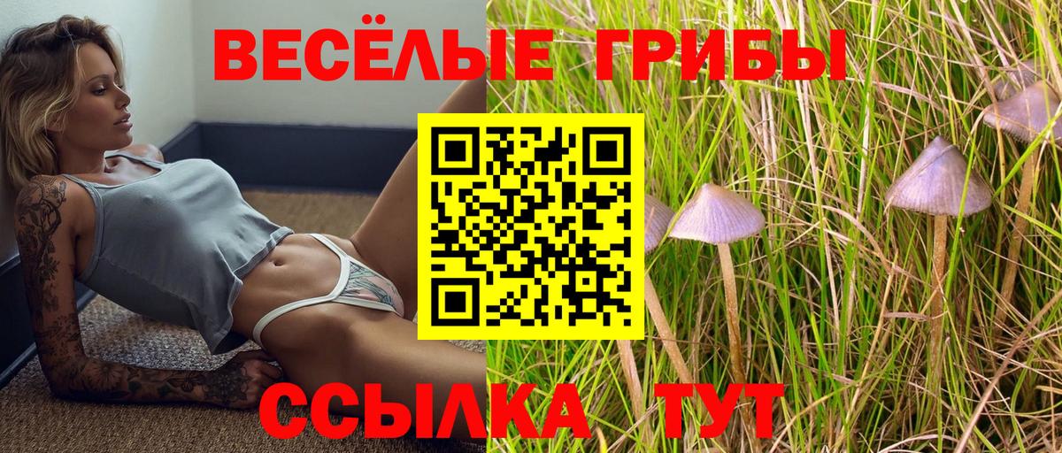 Псилоцибиновые грибы прущие грибы Гай
