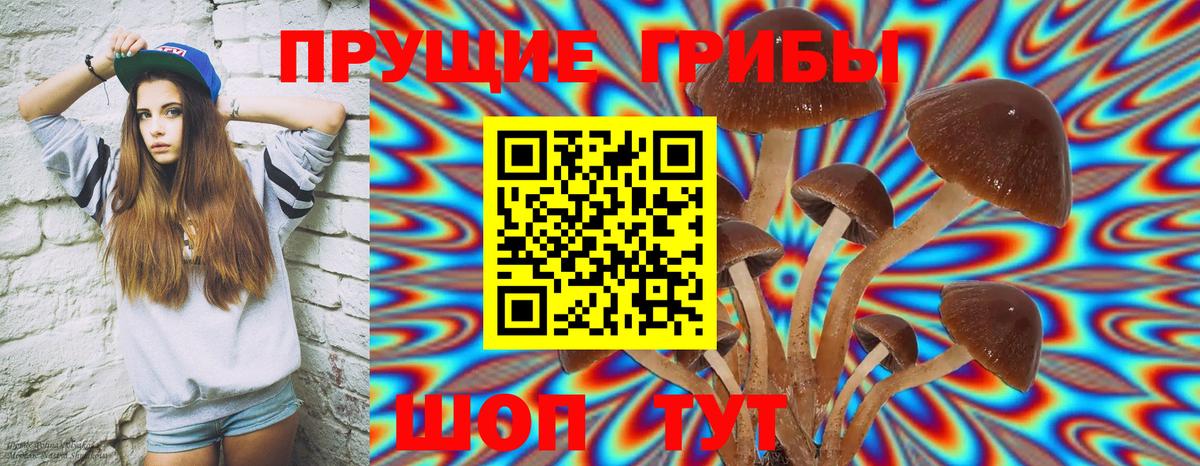 Псилоцибиновые грибы GOLDEN TEACHER  Галлюциногенные грибы ЛСД  Гай 