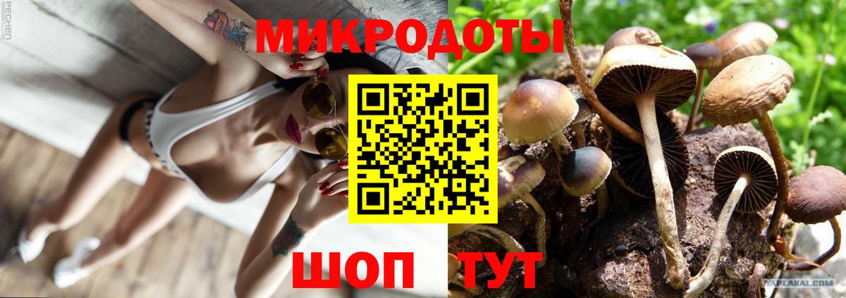 Гай  Псилоцибиновые грибы Magic Shrooms  Вход с VPN  Псилоцибиновые грибы Cubensis 
