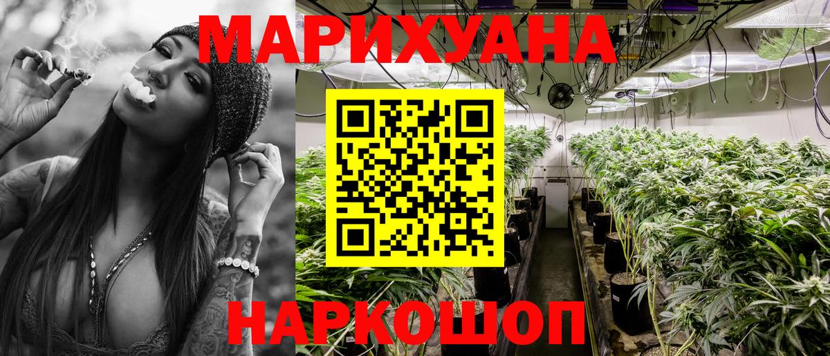 Конопля индика  Бошки Шишки тримм  Вход с VPN  Конопля ГИДРОПОН  Гай 